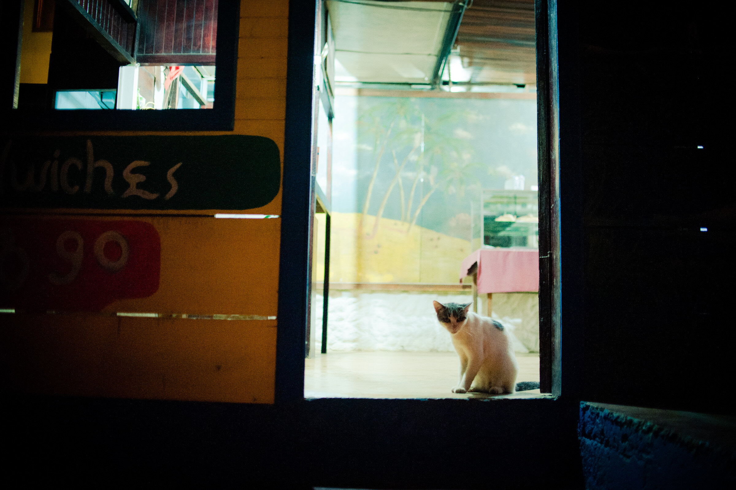 costa-rica-beach-town (20 of 25).jpg