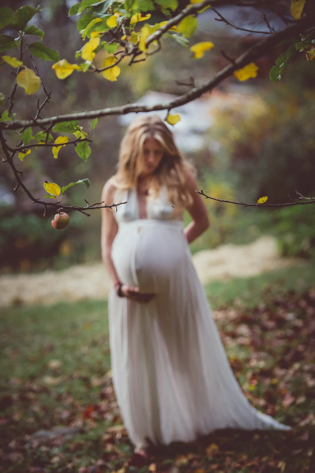maternity-cortes-island-portraits-6.jpg