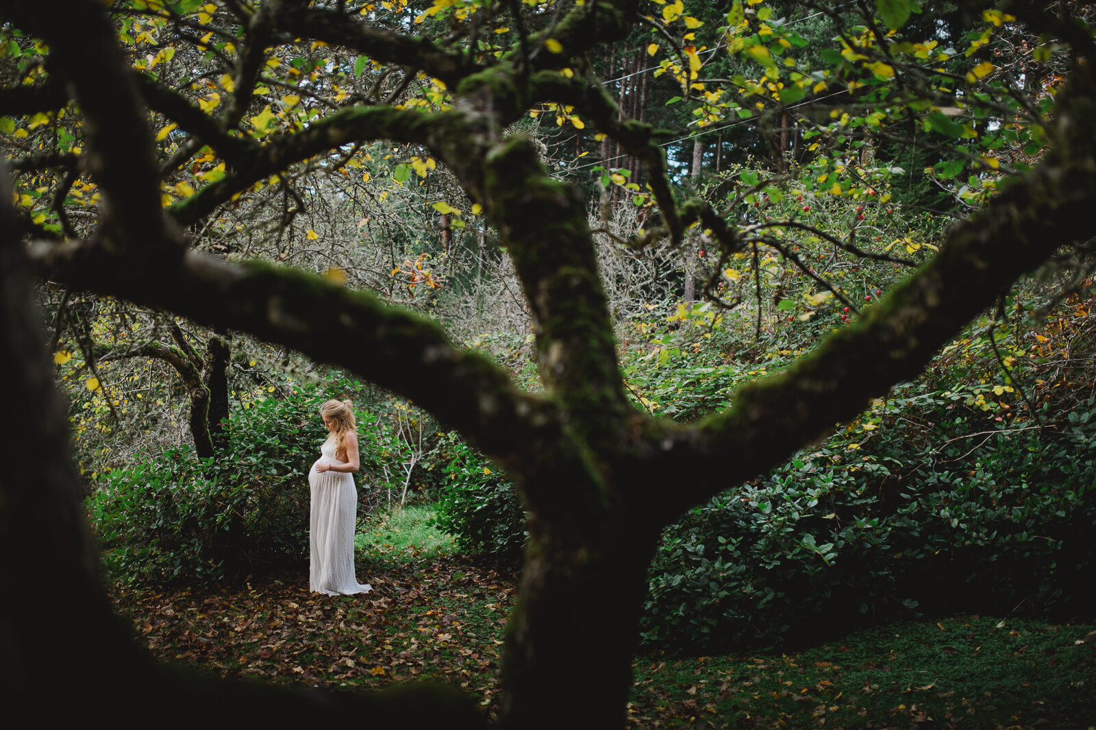 maternity-cortes-island-portraits-3.jpg