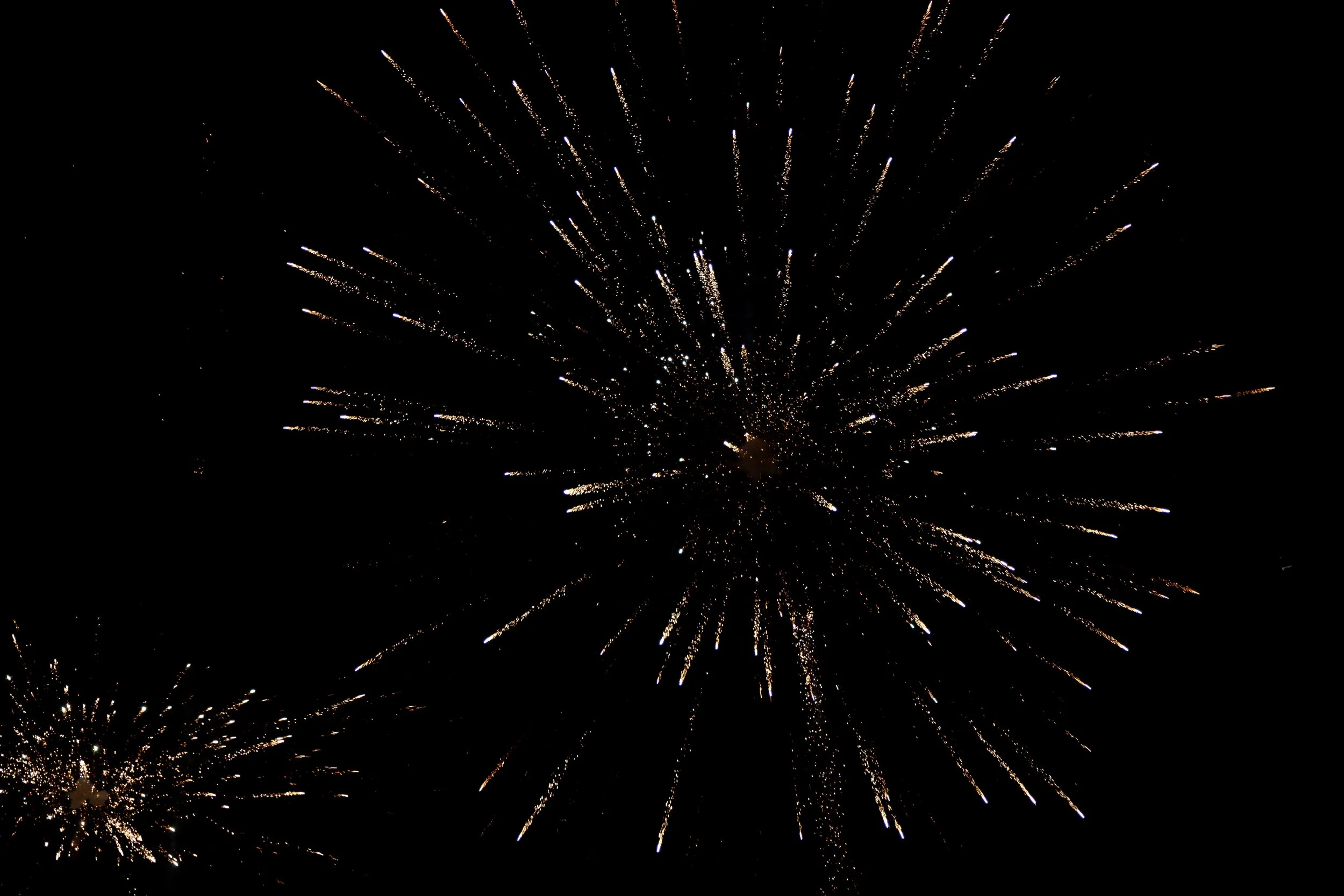 Fireworks exploding against a dark night sky.