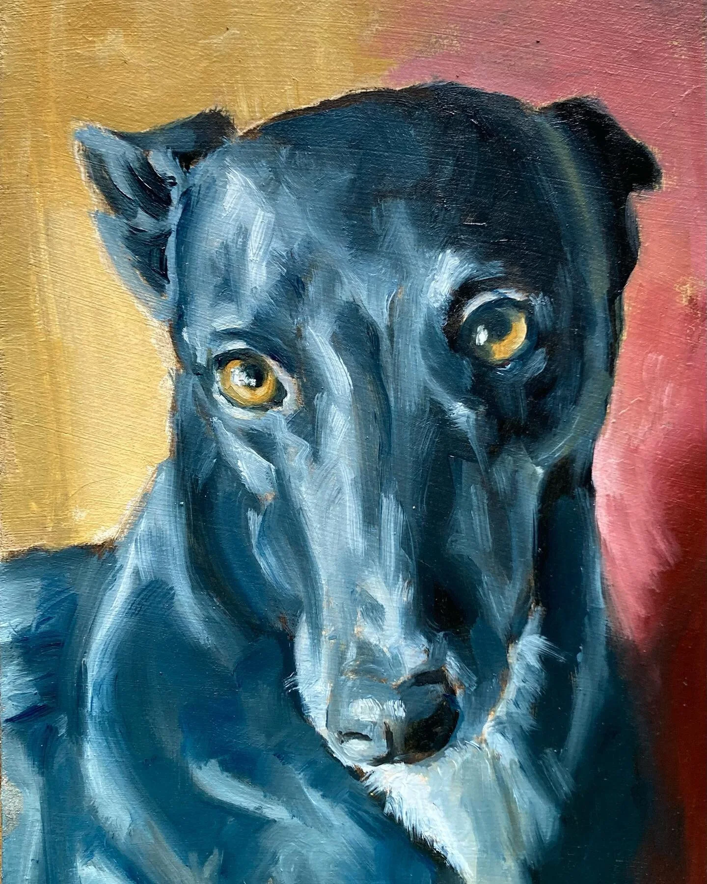 I delivered Sasha  and Bertie&rsquo;s portraits to @broonjax today and was greeted with leans, long leggy hugs and a face dusting from a basil brush tail (Bella). I love painting hounds!
.
.
.
#houndsoflove #houndsofinstagram #hounds #greyhounds #gre