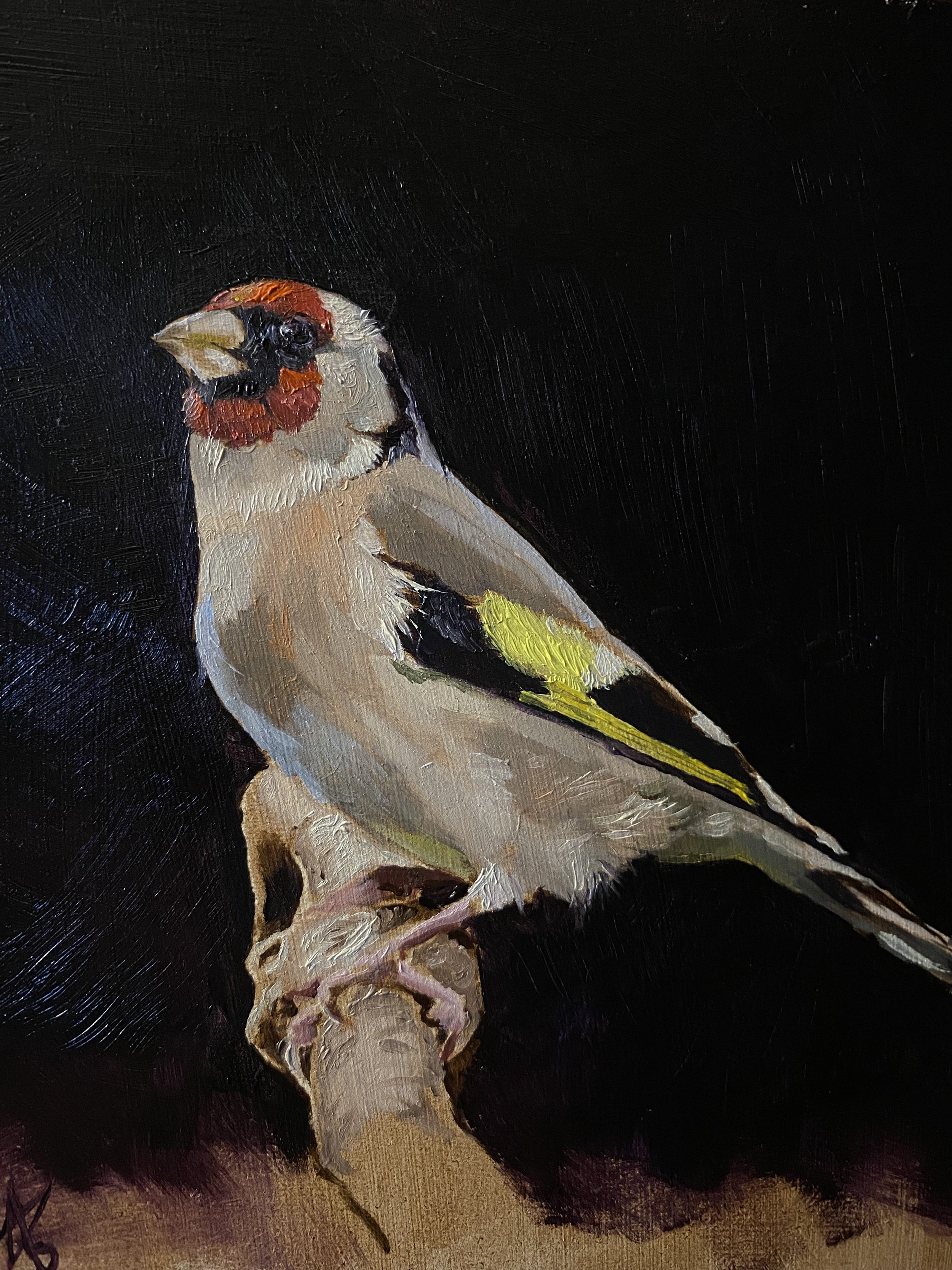 Goldfinch
