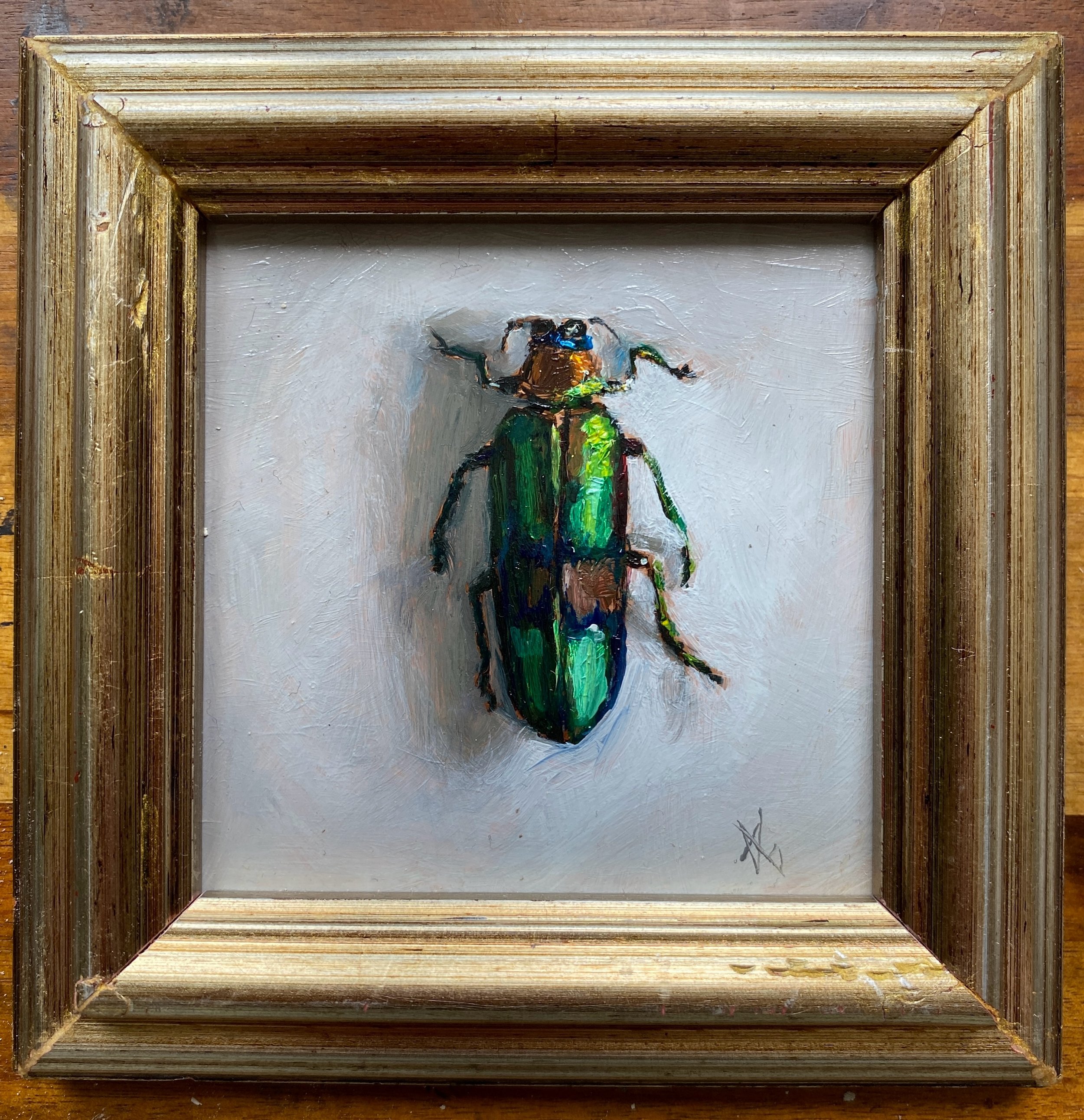 I am very pleased to announce that my tiny little oil on copper painting &lsquo;Magaloxantsa Bicolor&rsquo; will be hanging in the 145th Royal Ulster Academy of Arts Annual Exhibition!

It runs from 18th October until 3rd January at the Ulster Museum