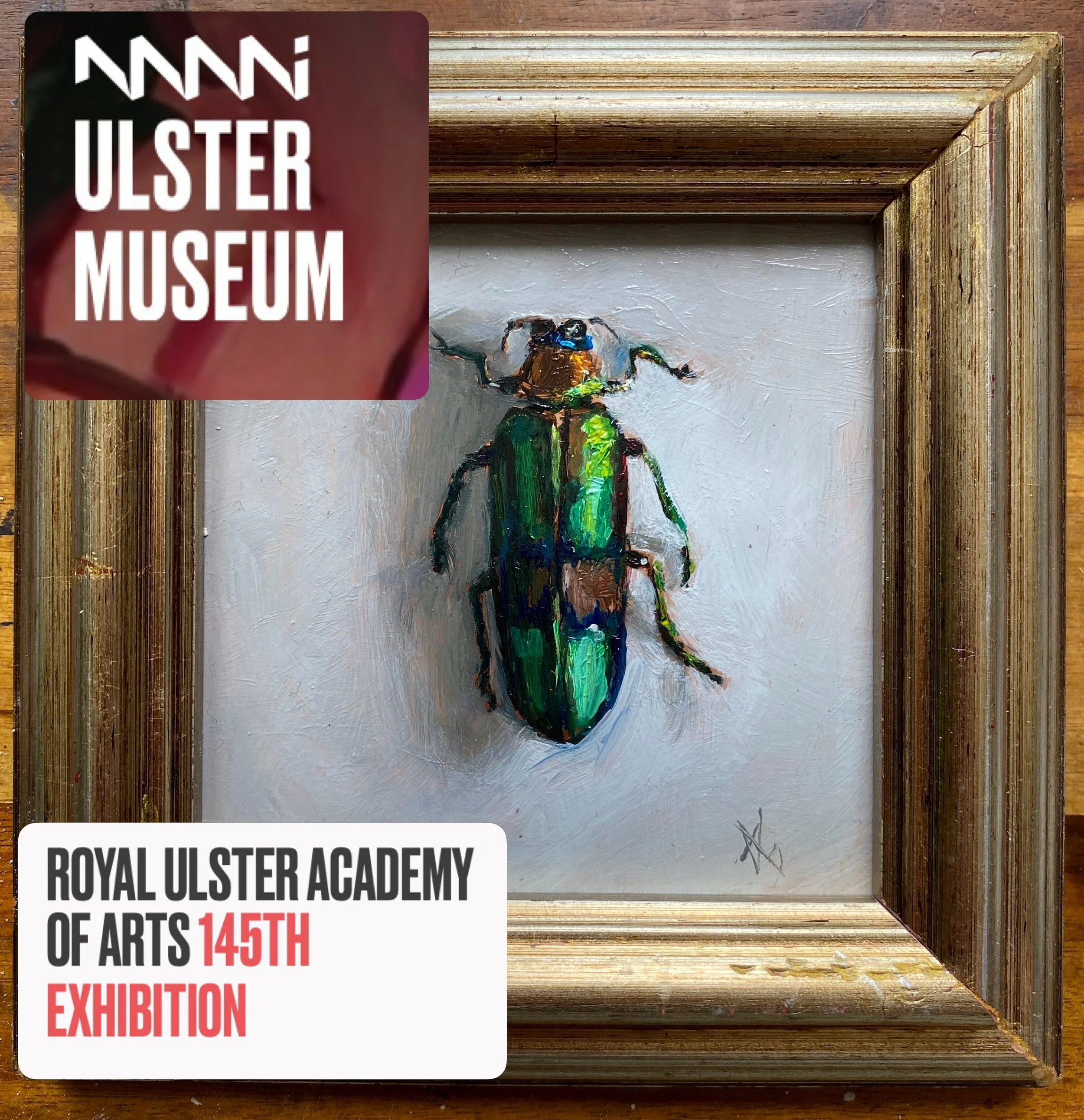 I am delighted to see my painting hanging in the Ulster Museum amongst fantastic artwork. &ldquo;Magaloxantsa Bicolor&rdquo; has been selected for the royal Ulster Academy of Arts 145th Exhibition. It&rsquo;s on from the 19th October to the 3rd Janua