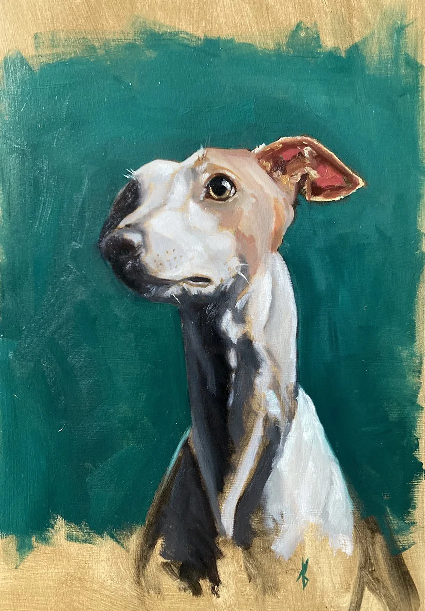 Portrait of Whippet, oil on paper, by Louise Brown