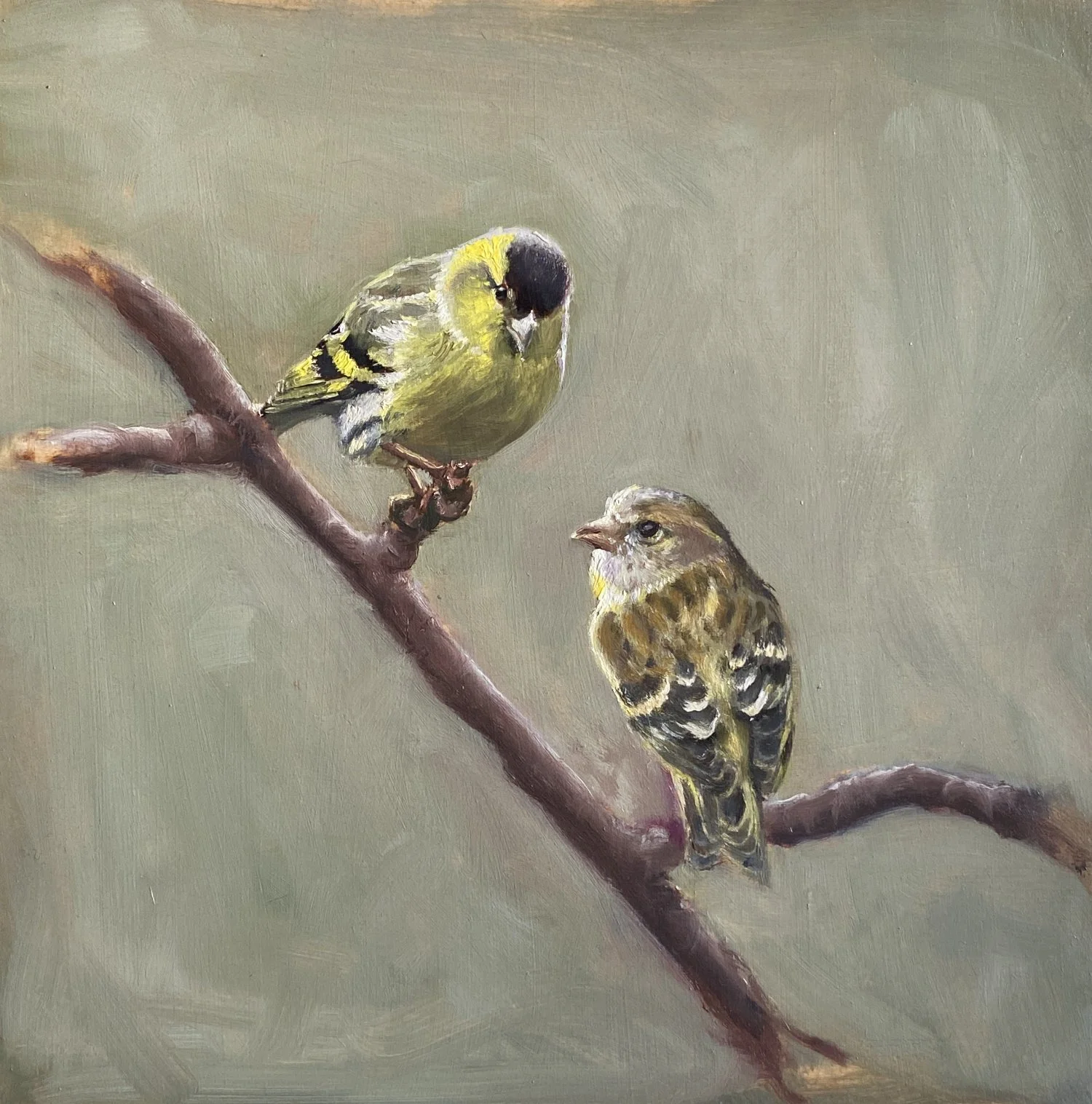 lulu-brown-scottish-wildlife-artist-siskins-oil-painting.jpg