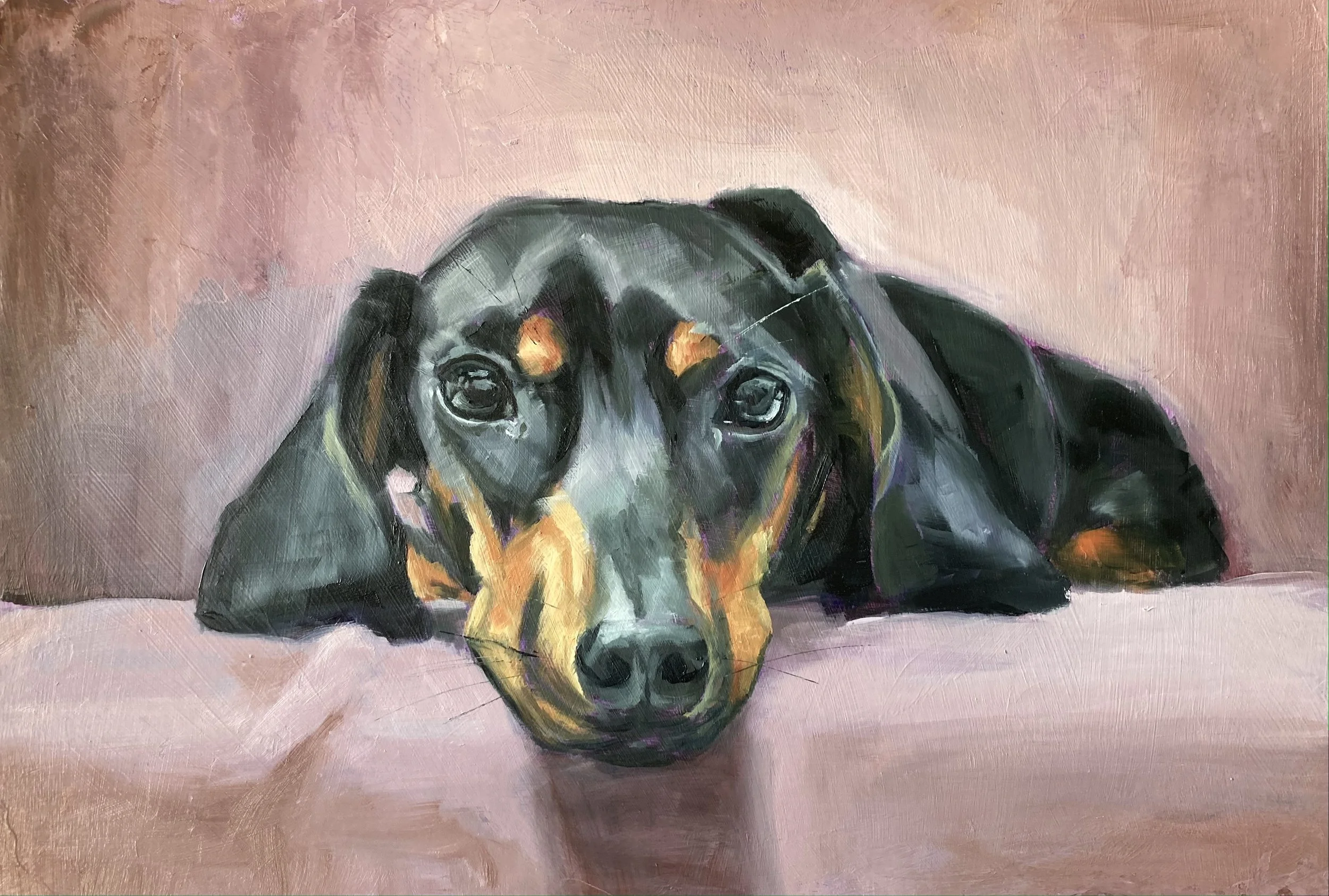 Portrait of  a Daschund, oil on paper, by Louise Brown