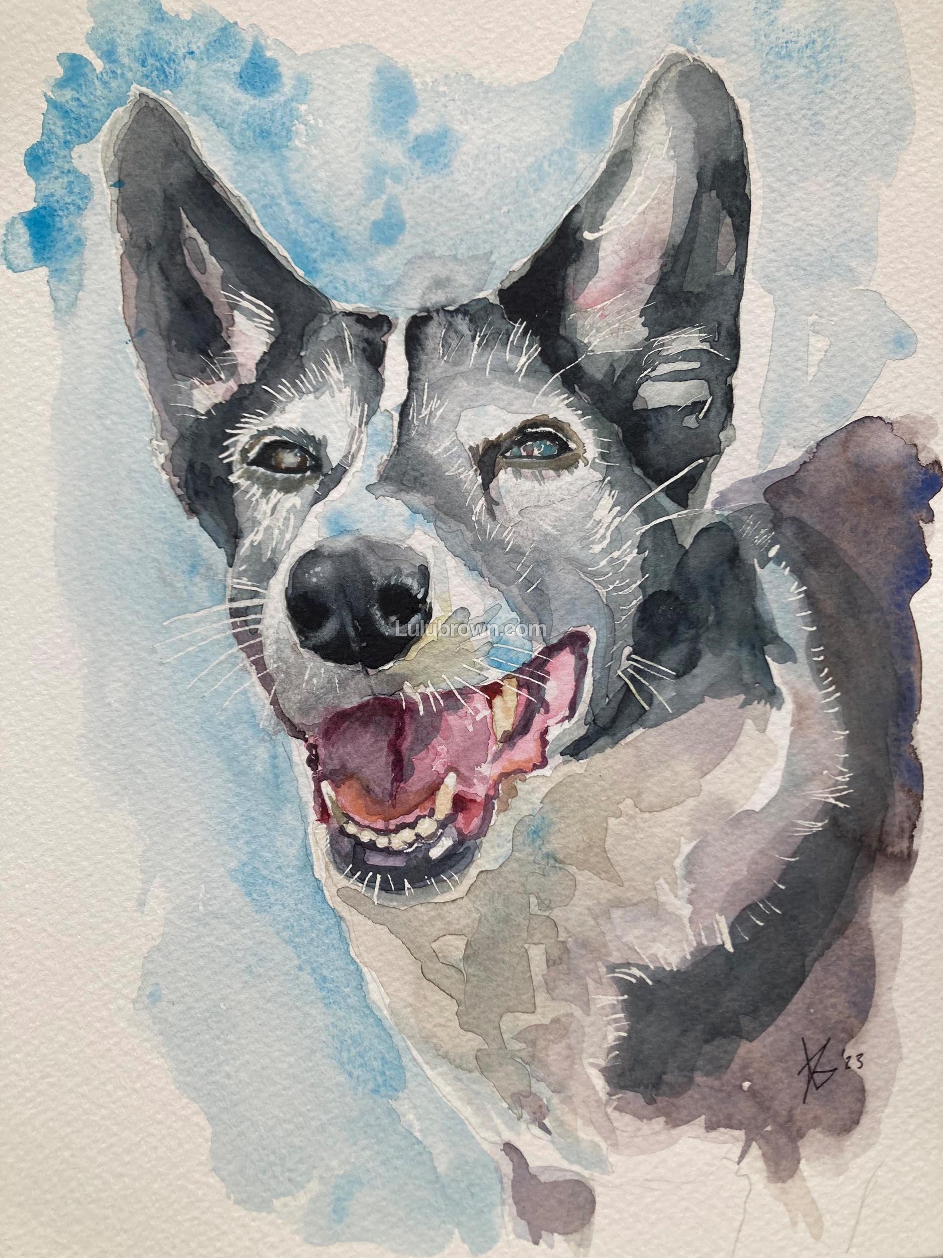 Watercolor painting of a smiling collie with pointy ears and one blue eye, set against a blue and neutral background.
