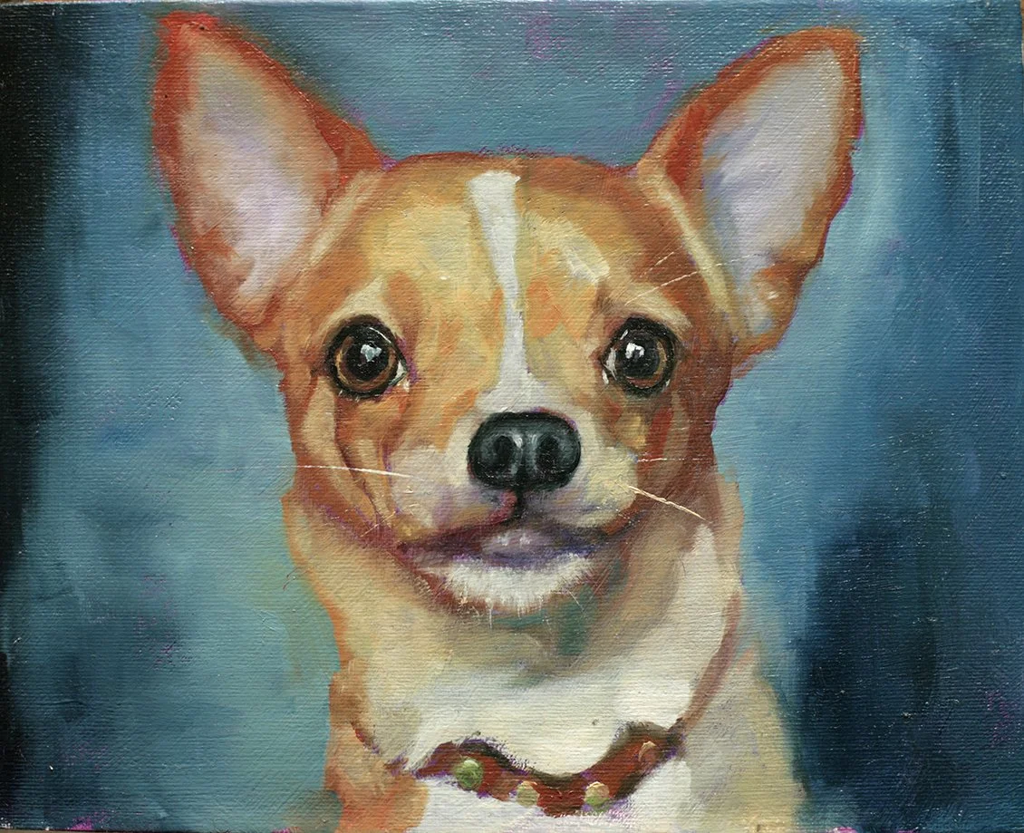 Chihuahua pet portrait, oil on canvas board, by Louise Brown