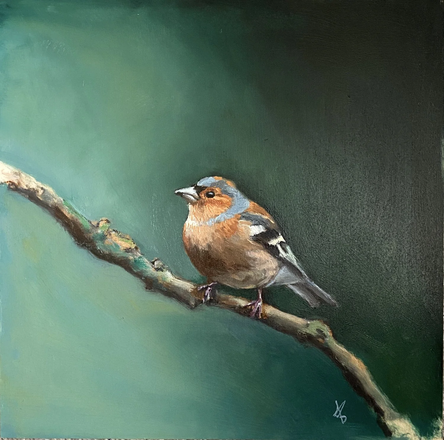 lulu-brown-scottish-wildlife-artist-chaffinch-oil-painting.jpg