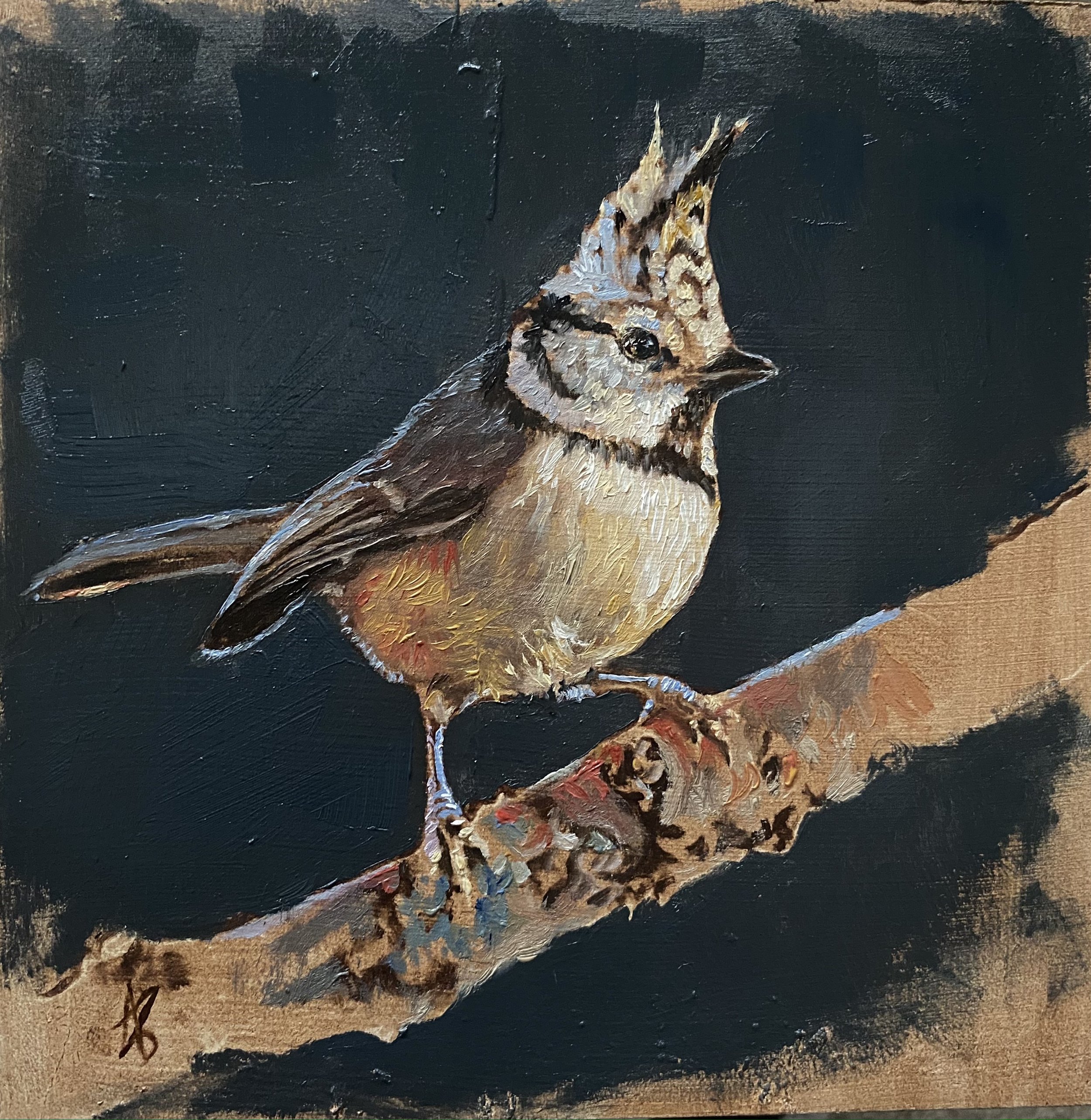 Portrait of Crested Tit, oil on board, by Louise Brown