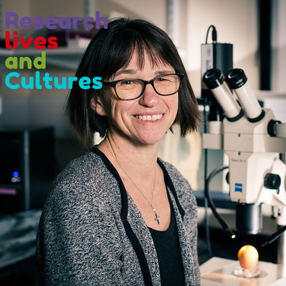 Approaching grant writing with confidence