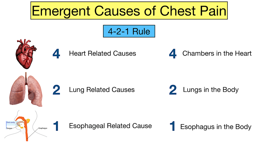 Chest Pain Causes Easy Trick to Not Miss an Emergency — EZmed