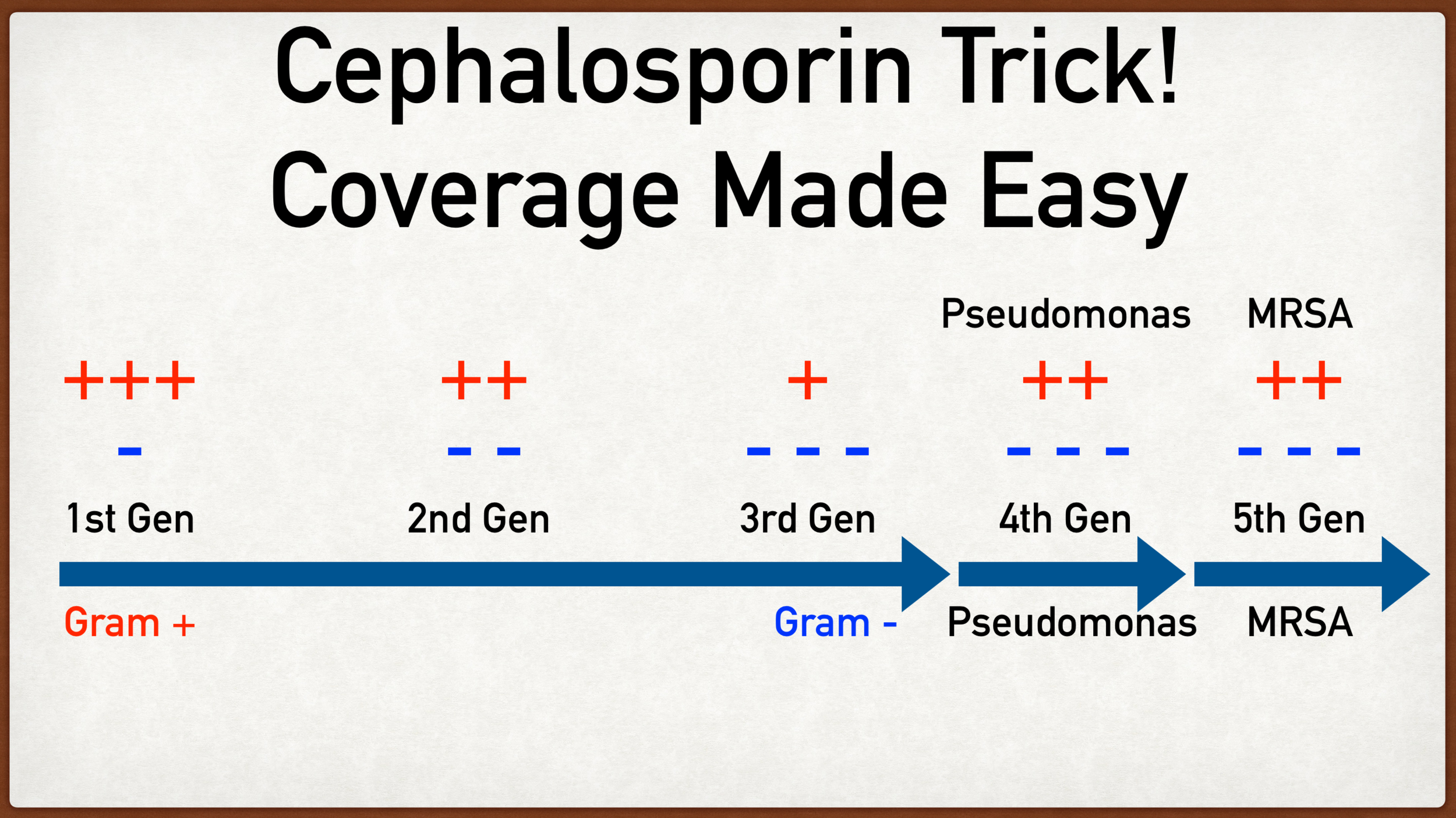 utilgivelig ære dæk Cephalosporin Antibiotic Drug Coverage by Generation Made Easy — EZmed