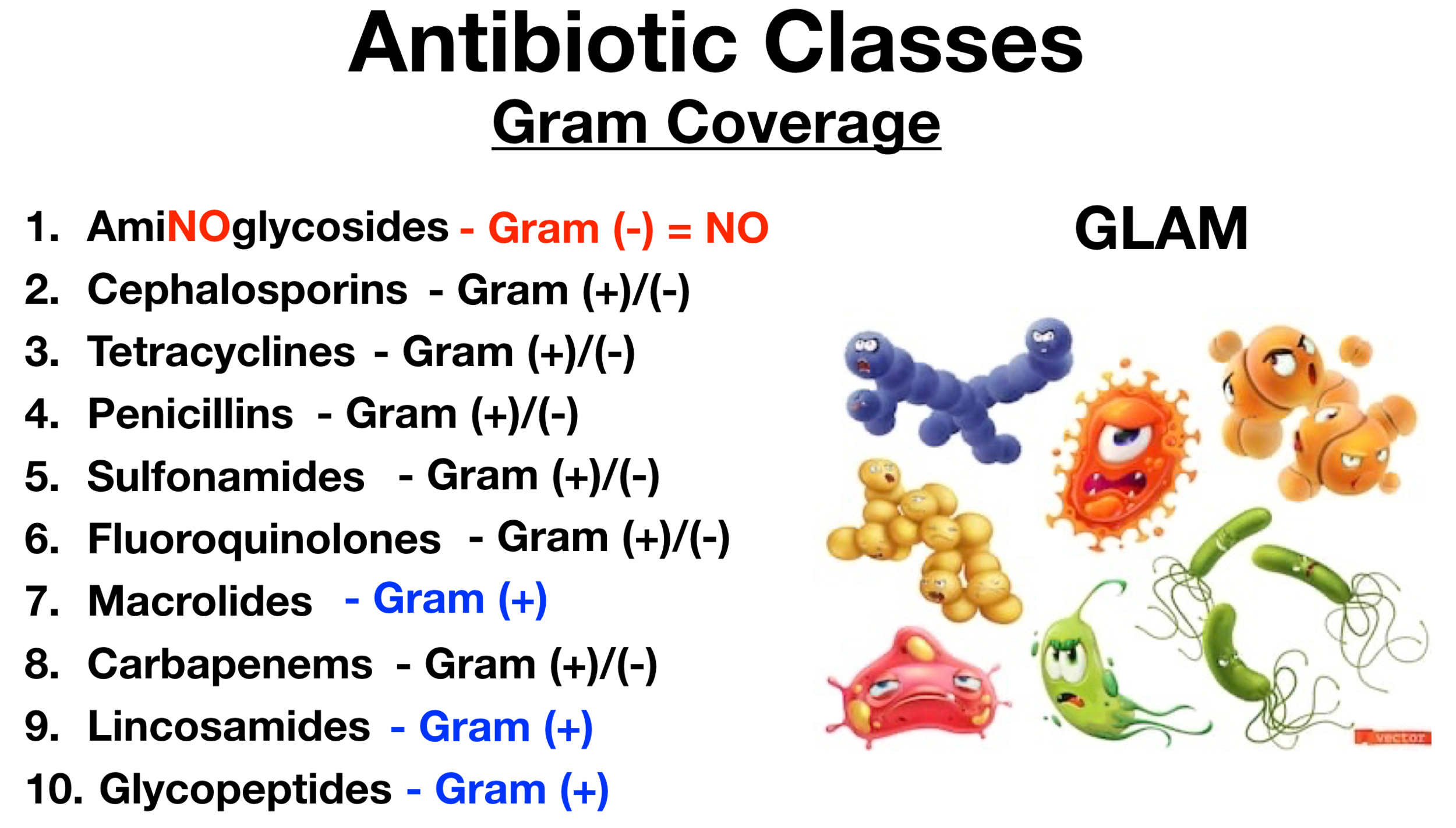 gram positive vs gram negative bacteria antibiotics