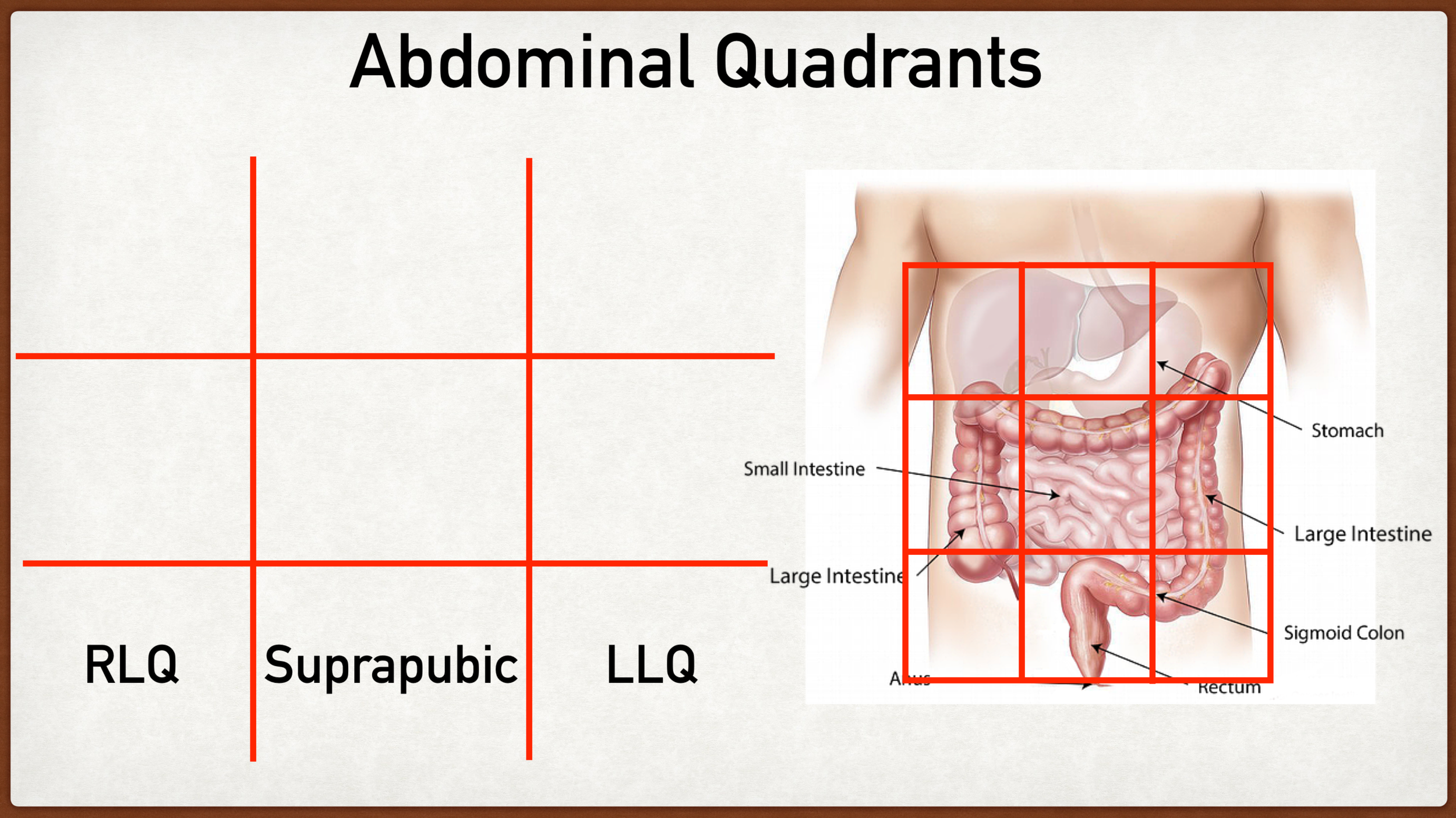 What causes lower abdominal pain in females?