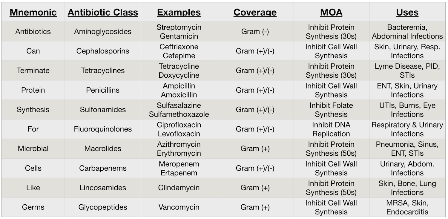 Antibiotic Class Chart: Drug Name List, Coverage, Mechanism of Action ...
