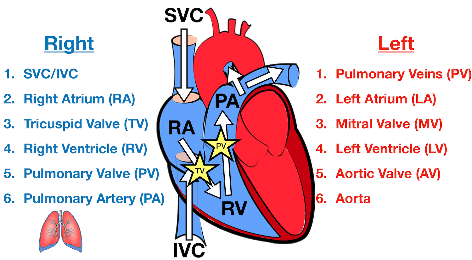 excursion heart definition