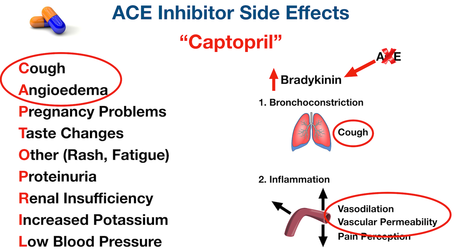 ACE Inhibitors Drug List, Side Effects, Mechanism of Action, Example