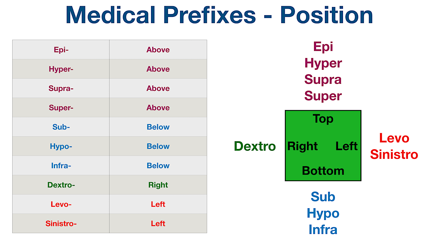 Medical Terminology Prefix List Nursing Dictionary Course Glossary