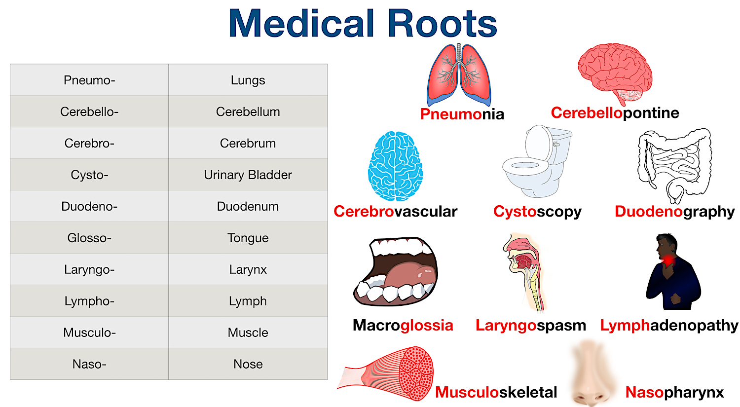 speech meaning in medicine