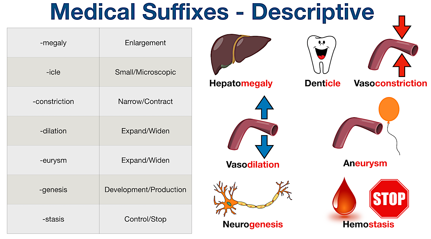 thesis suffix medical term