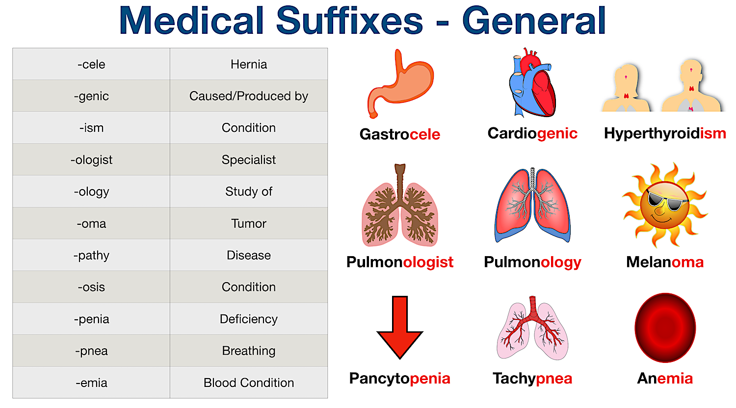 Medical Suffixes Made Easy List Meanings Example Terminology Quiz