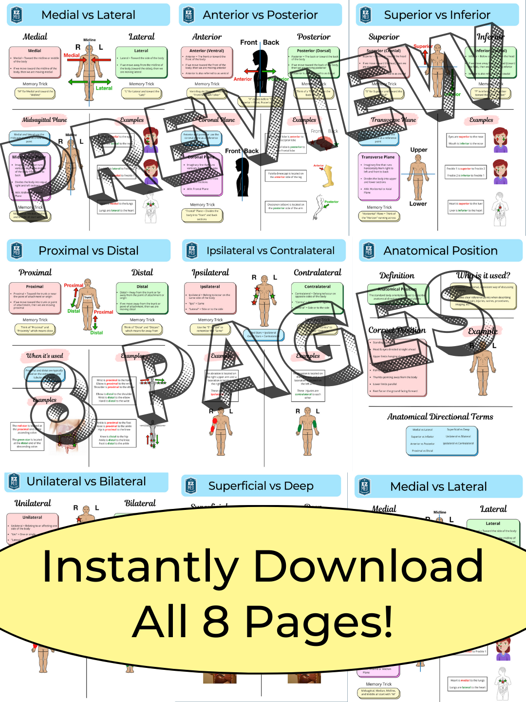 Anatomical Directional Terms and Position PDF Definitions, Diagrams