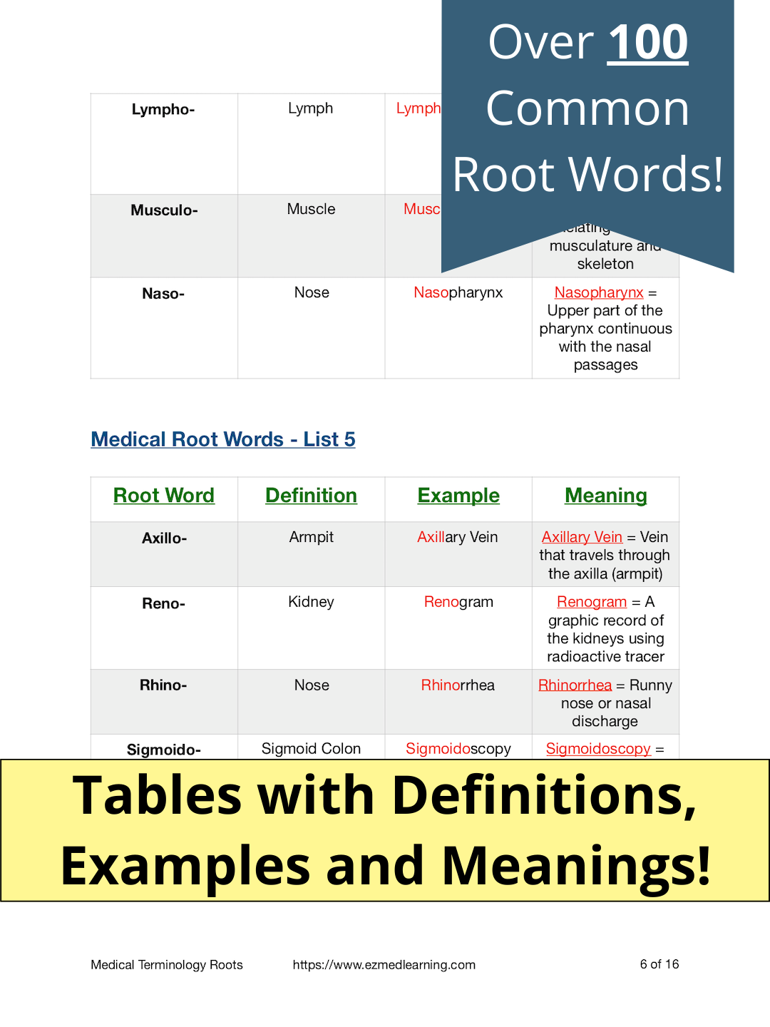 phd root word