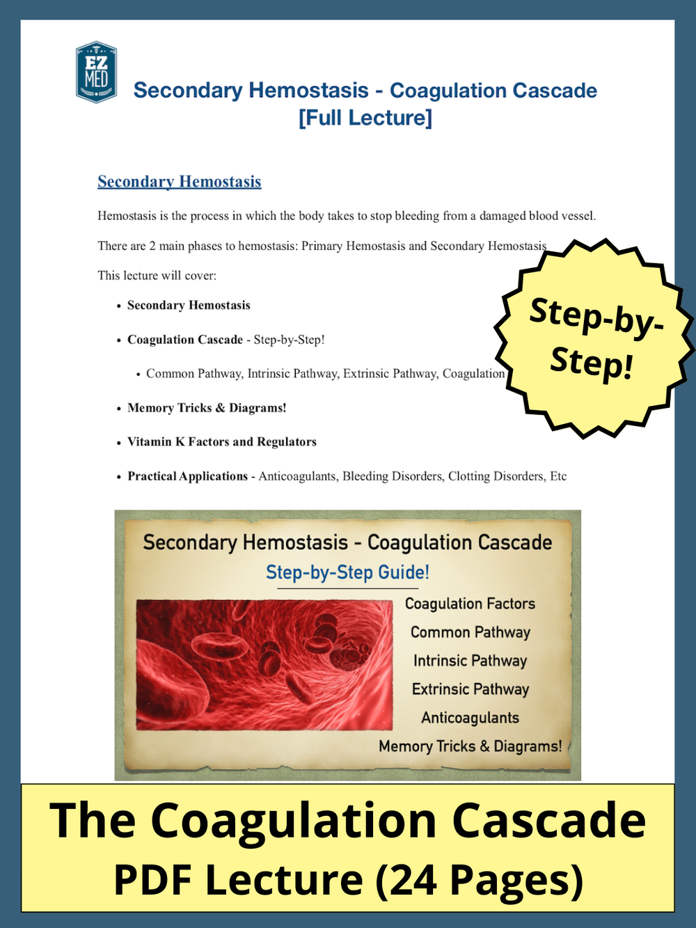 Secondary Hemostasis Definition and Coagulation Cascade Pathway Steps with  Ppt Diagram of Factors — EZmed