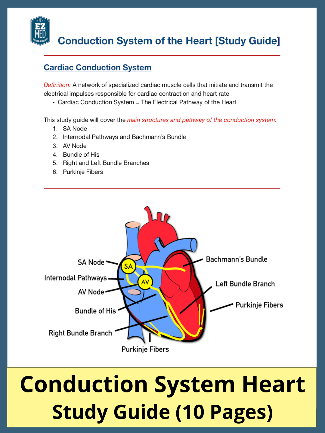 EZmed Study Guides EZmed ezmed-study-guides-ezmed