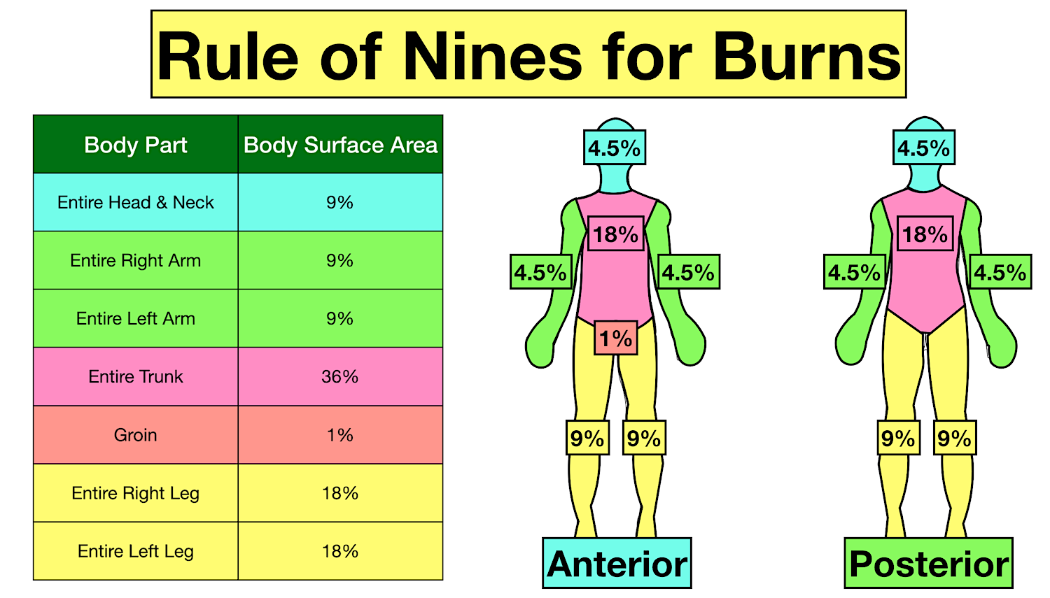 Rule Of Nines Burn Chart Children