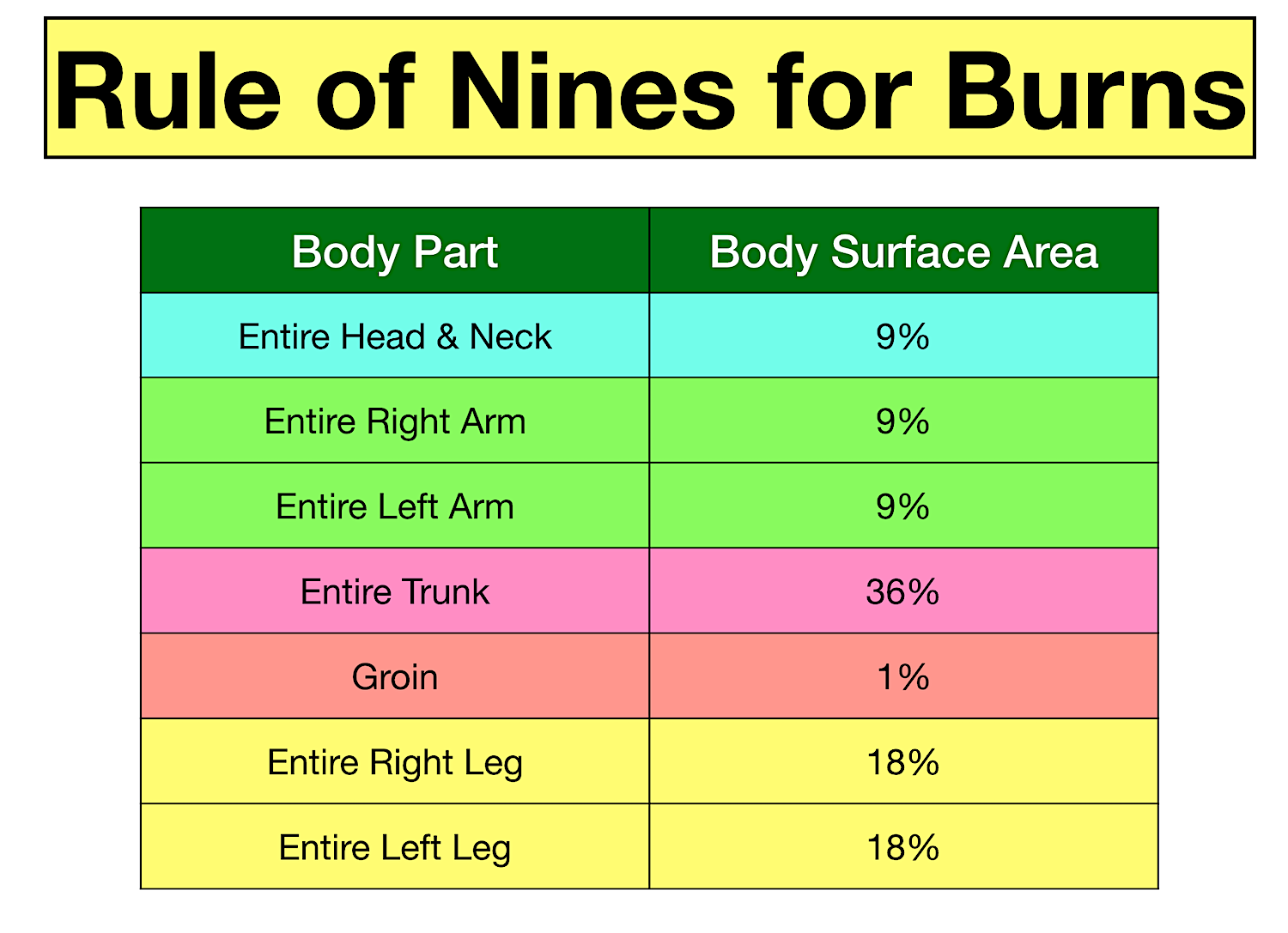 Rule Of Nines Burn Chart Children