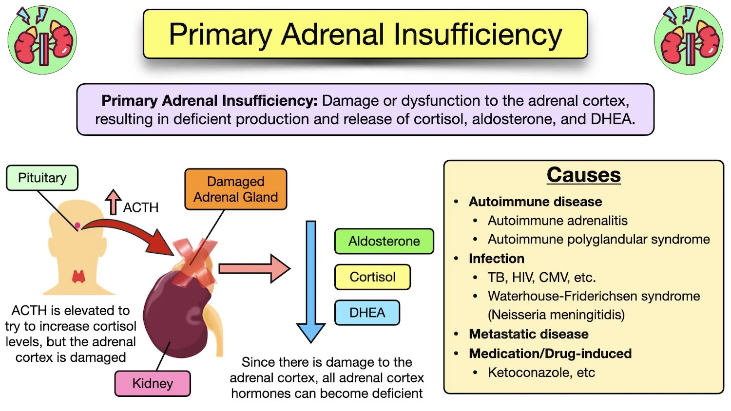 Adrenal Insufficiency Symptoms, Causes, Treatment, Diagnosis, Labs, Addison's Disease — EZmed