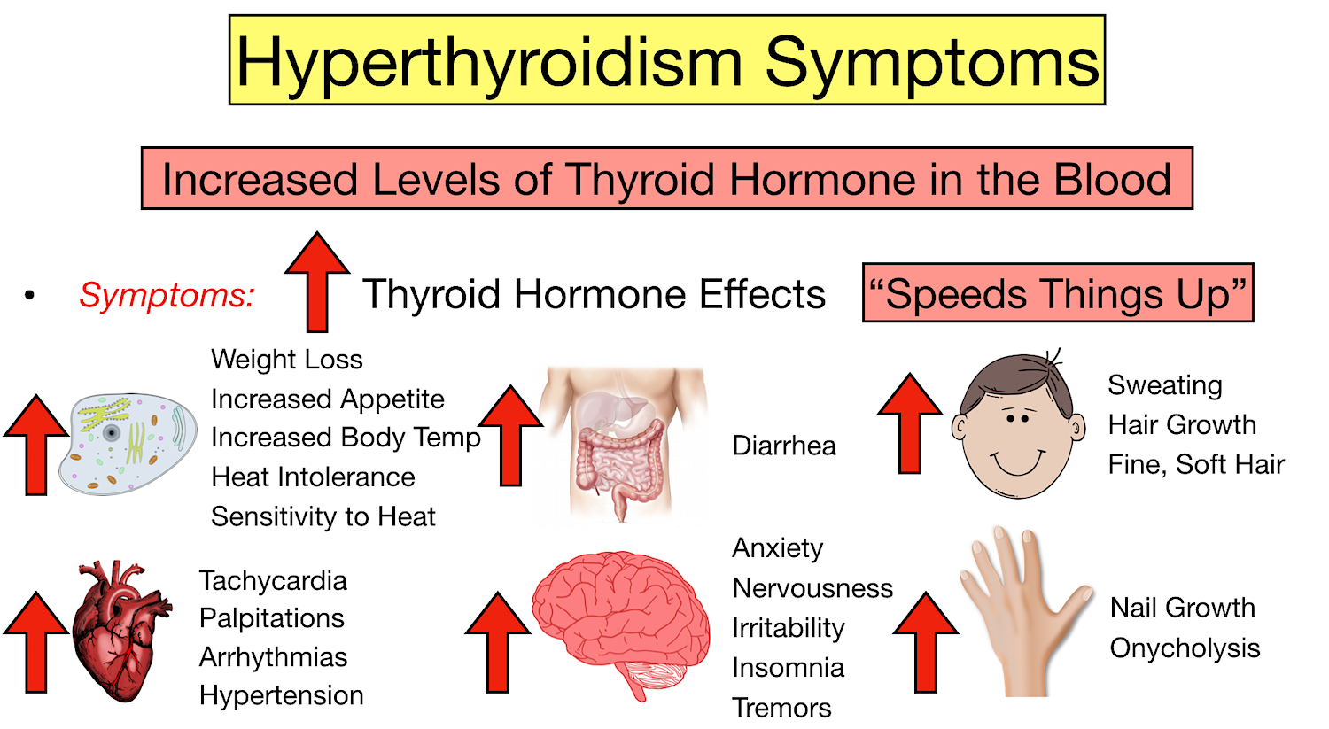 Symptoms hyperthyroidism 10 Signs