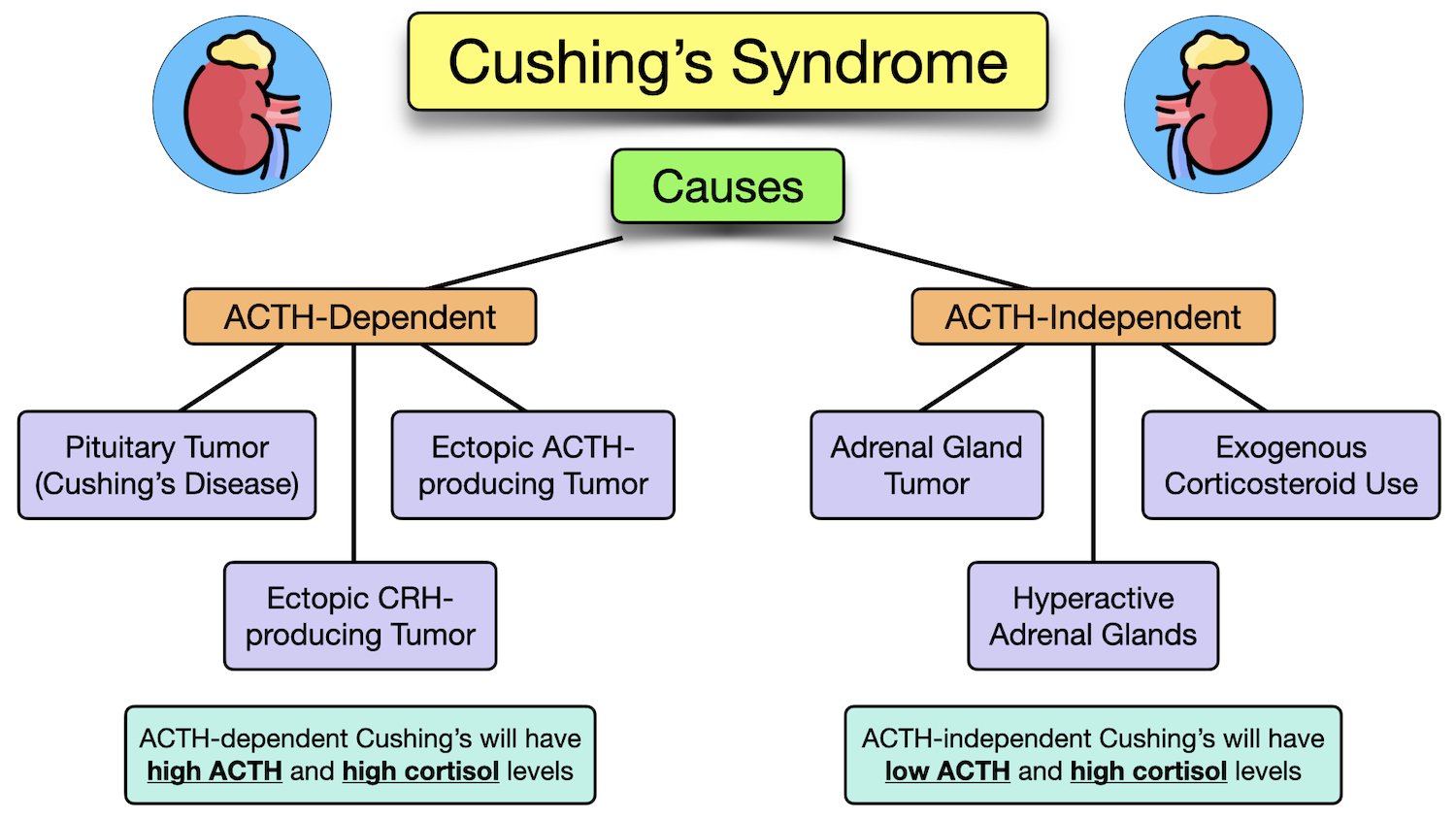 Cushing Syndrome: What is It, Causes, Treatment, and More