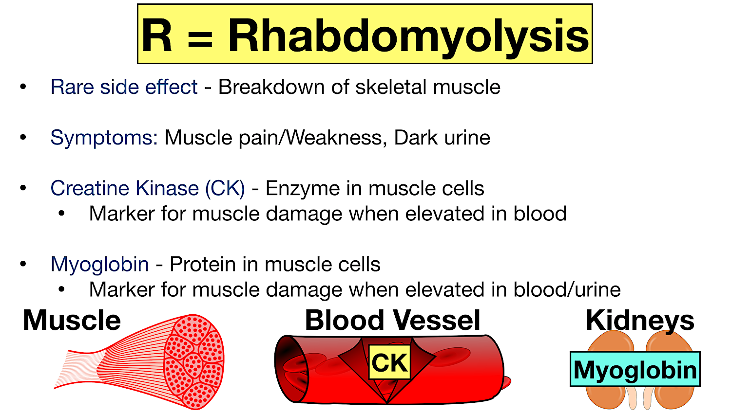 Atorvastatin (Lipitor) Side Effects and Uses 10mg, 20mg, 40mg, 80mg