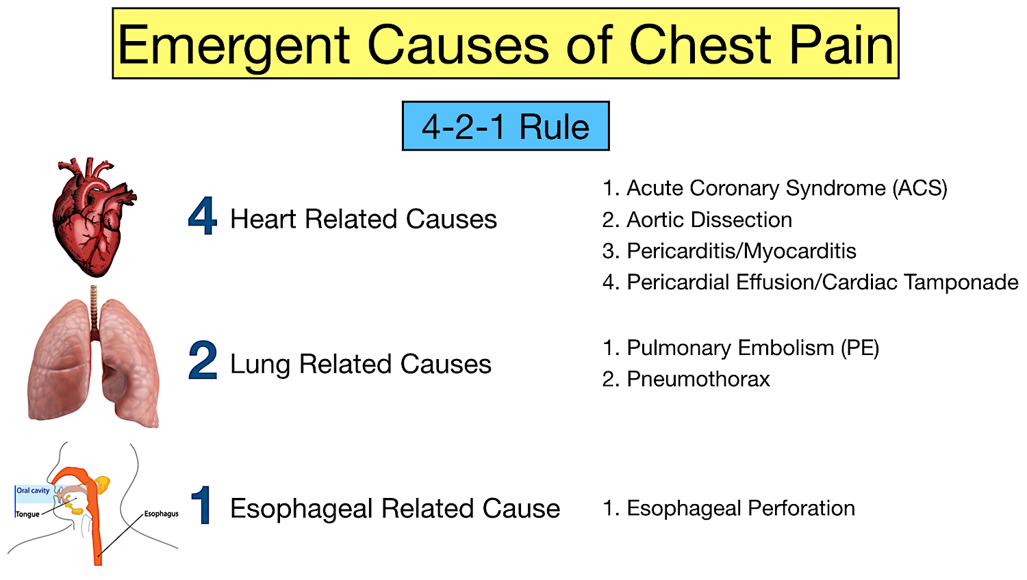 Chest Pain Causes Easy Trick To Not Miss An Emergency — Ezmed