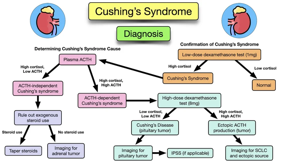 Cushing's Syndrome Symptoms, Causes, Treatment, Diagnosis, Definitions