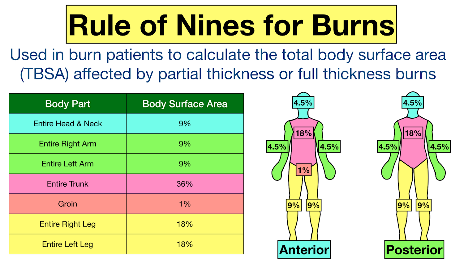Rule Of Nines Burn Formula