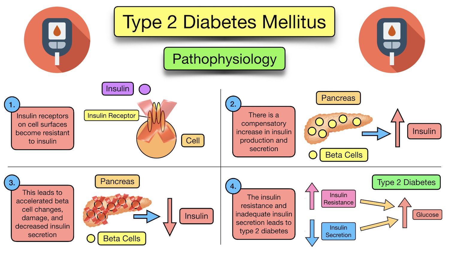 Type 2 Diabetes Mellitus Symptoms, Diet, Medication, Treatment, Risk
