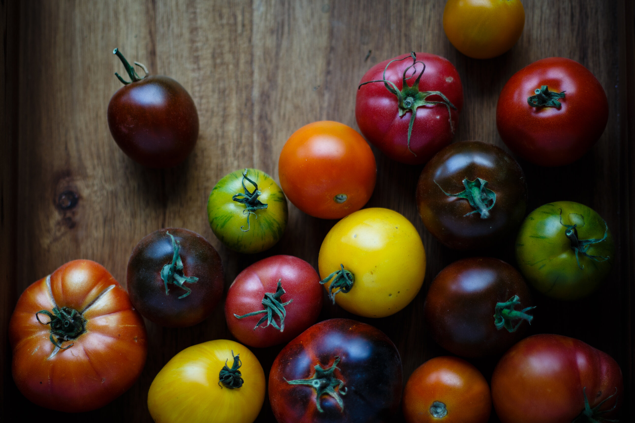 Heirloom tomato varietals for Checca