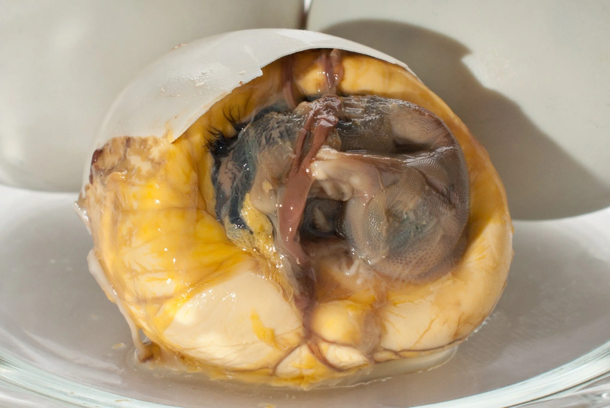 Balot, a common street food in the Philippines has an embroy.