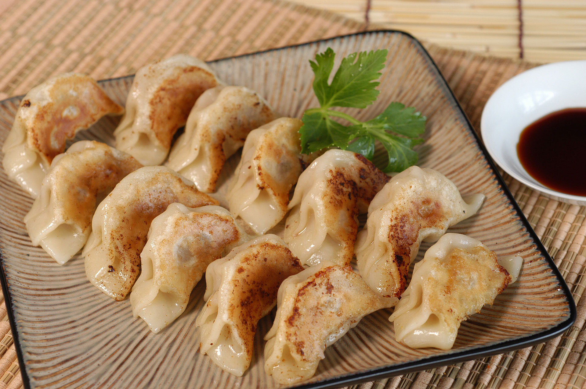 Japanese street food gyoza dumpling.