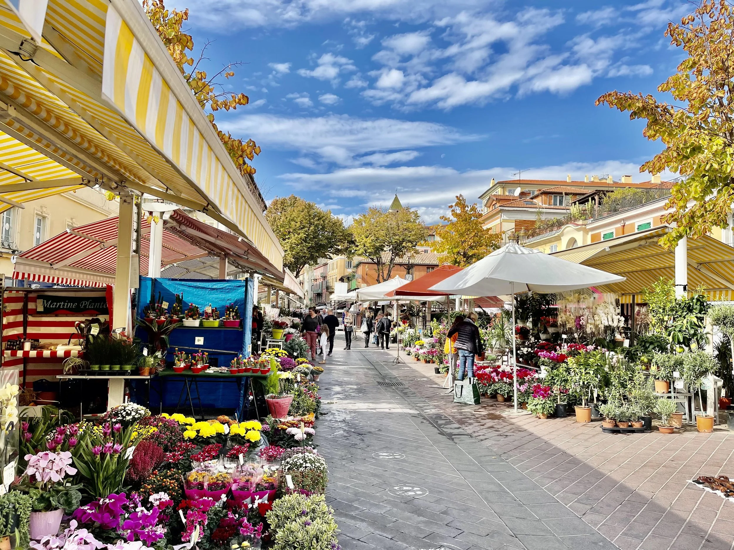 Tips for Exploring the Cours Saleya Nice, France Markets