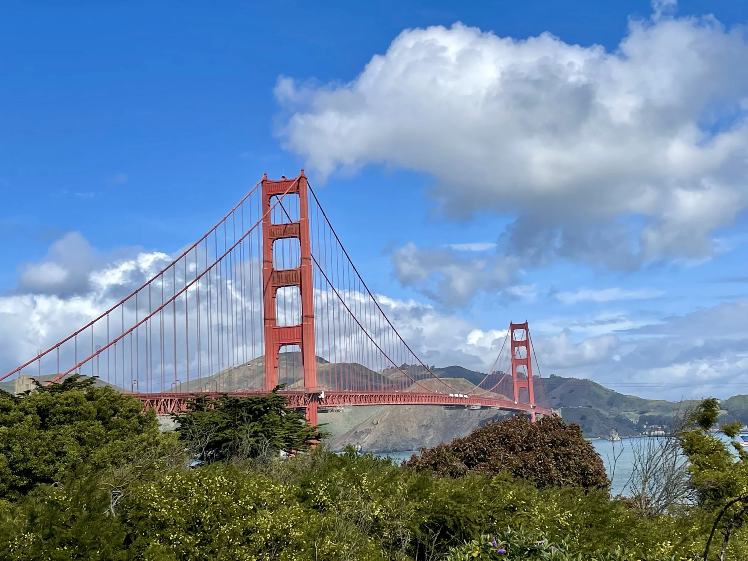 8 Best San Francisco Food Tours: Foodie Guide 2025