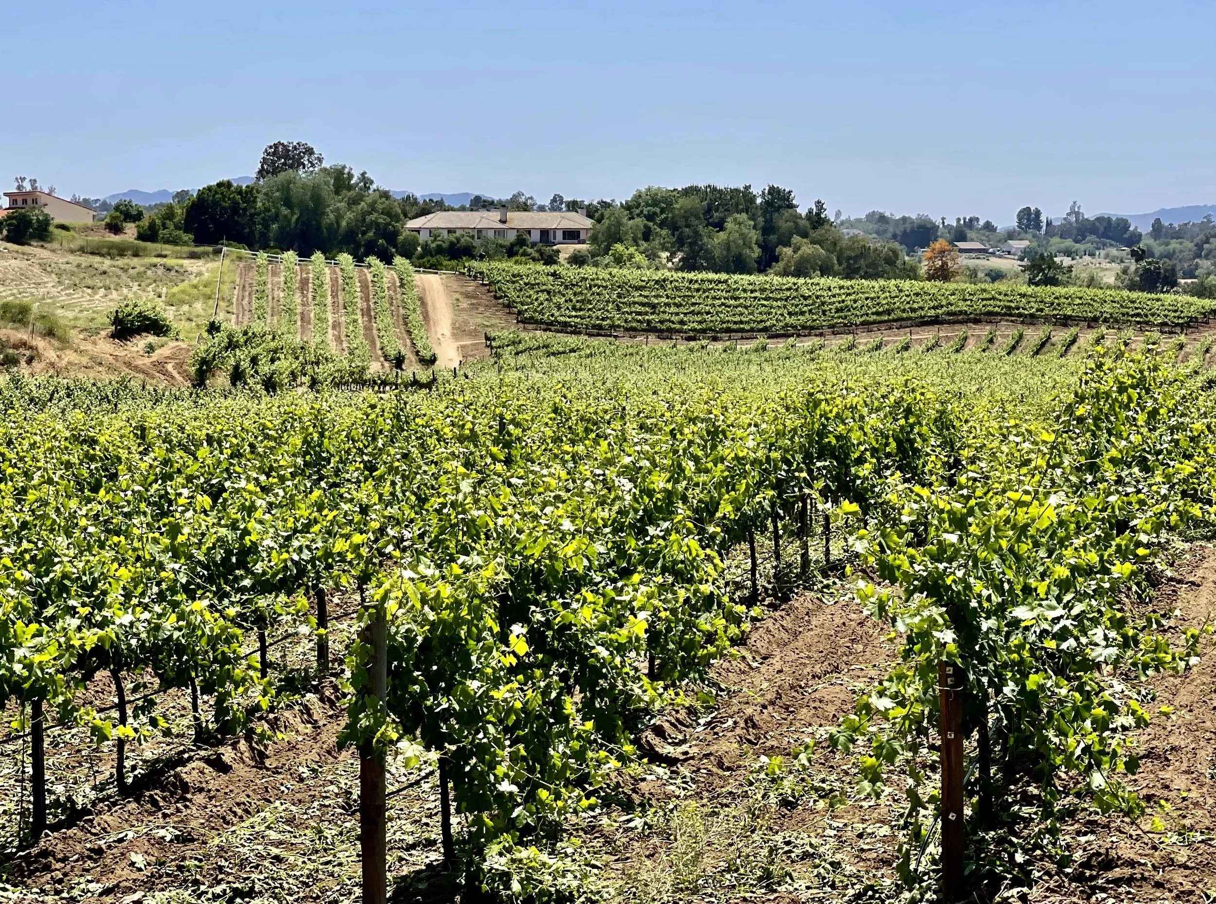 Weekend in Temecula: Where To Wine, Dine, Stay &amp; Play