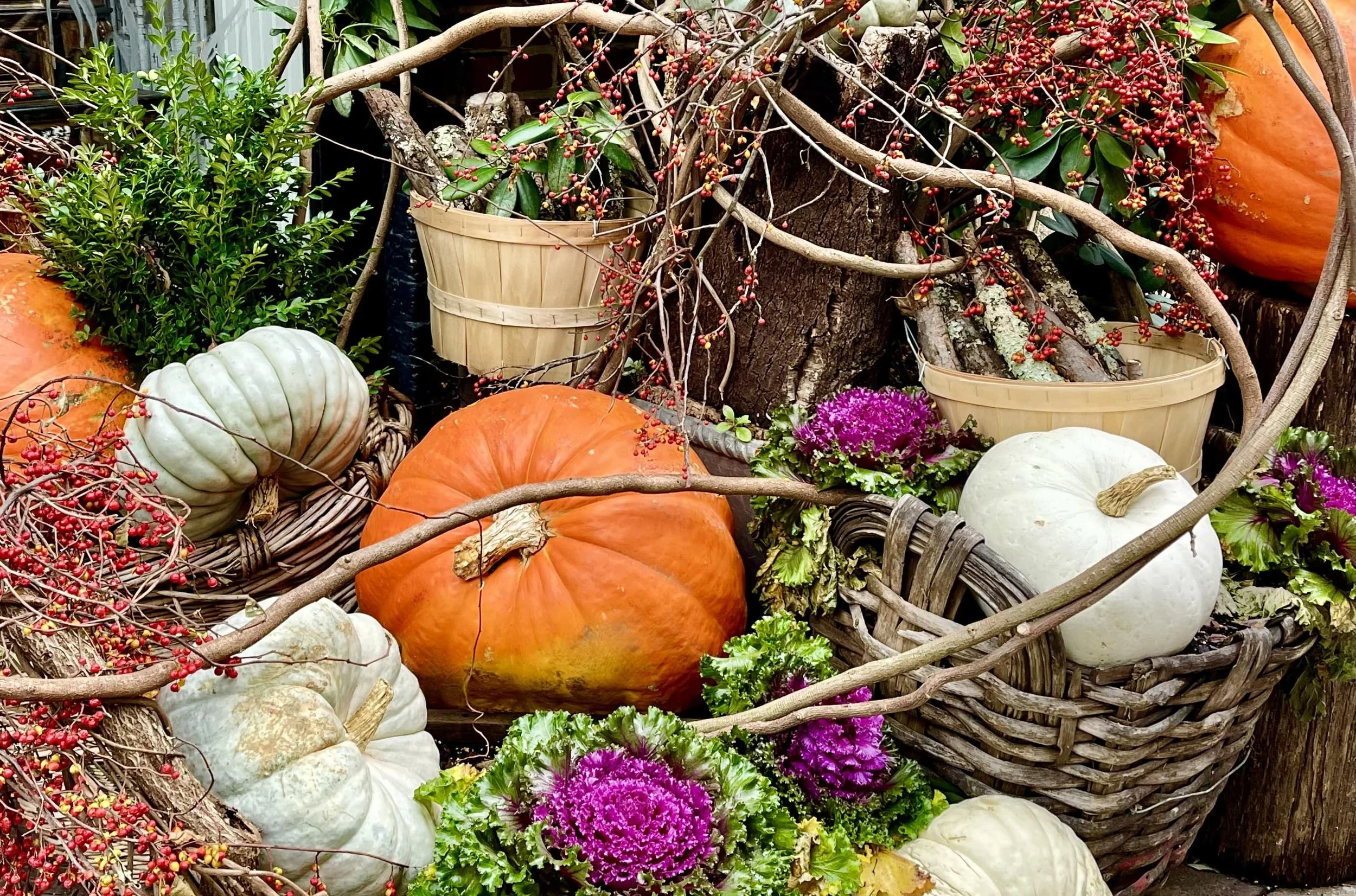 5 Best Pumpkin Recipes for Fall: Sweet &amp; Savory