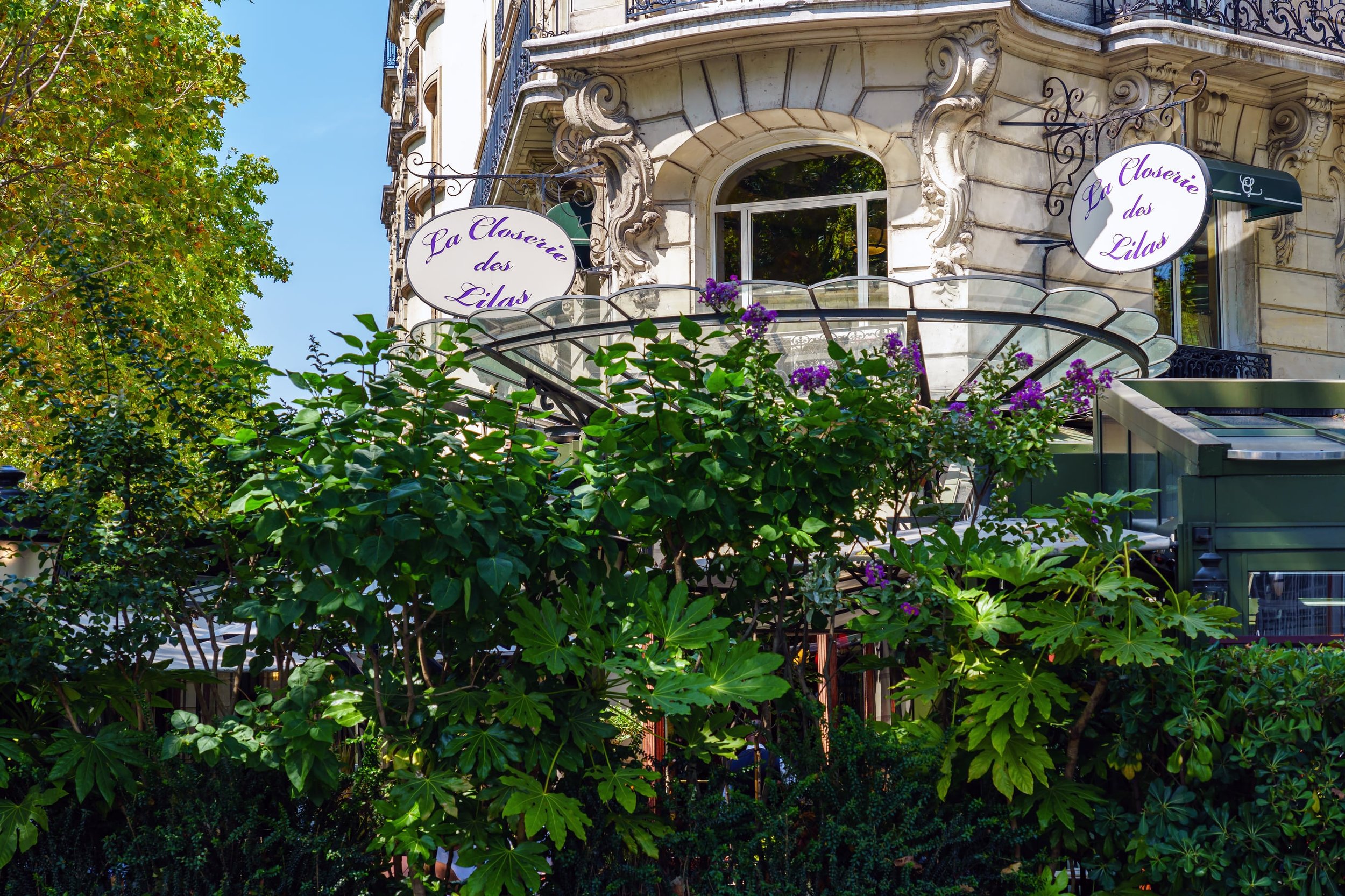 prettiest cafe in paris min 15 Famous Cafés in Paris You Have to Visit