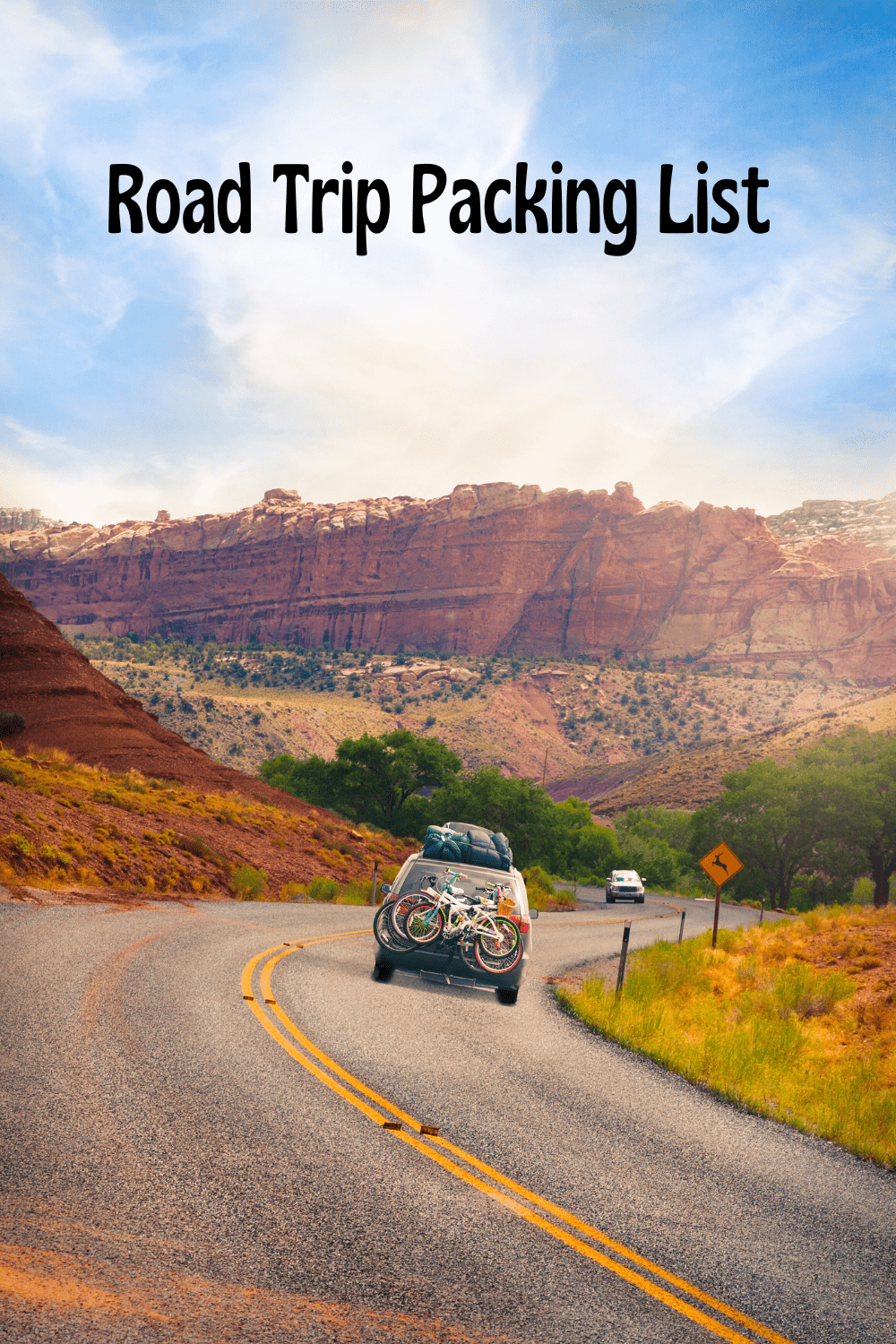 Pin for Road Trip Packing List